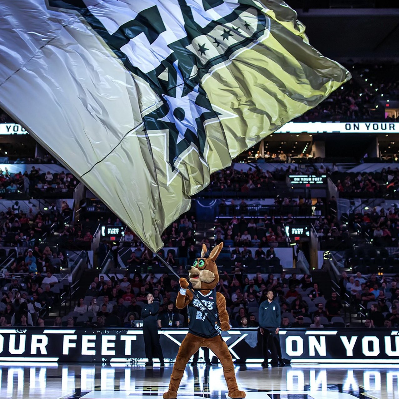 总结与展望 总结与展望